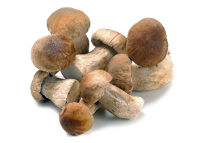 funghi